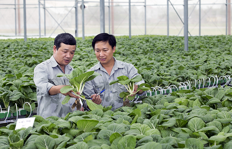 Làm nông nghiệp 4.0: Hãy bắt đầu từ khả năng tiếp thu công nghệ